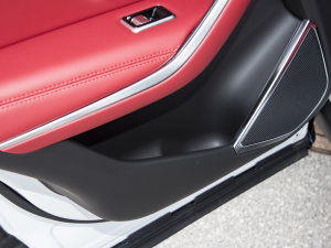 2023P250 R-Dynamic BLACK Tg