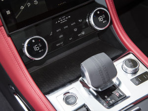 2023P250 R-Dynamic BLACK g