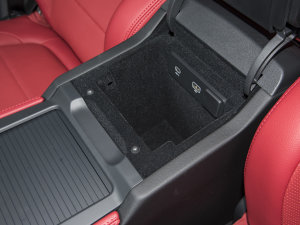 2023P250 R-Dynamic BLACK g