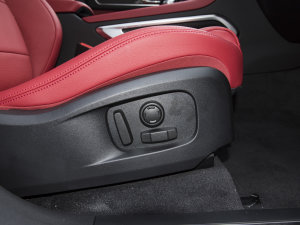 2023P250 R-Dynamic BLACK g