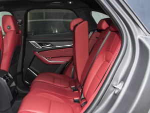 2023P250 R-Dynamic BLACK g