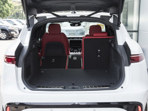 2023P250 R-Dynamic BLACK g