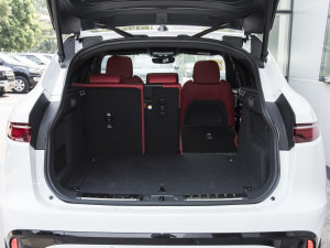 2023P250 R-Dynamic BLACK g