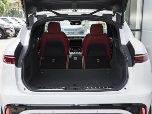 2023P250 R-Dynamic BLACK g