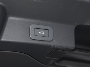 2023P250 R-Dynamic BLACK g