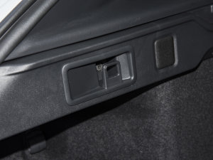 2023P250 R-Dynamic BLACK g