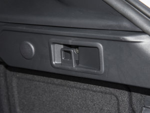 2023P250 R-Dynamic BLACK g