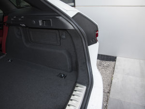 2023P250 R-Dynamic BLACK g