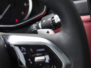 2023P250 R-Dynamic BLACK п؅^(q)