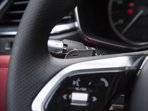 2023P250 R-Dynamic BLACK п؅^