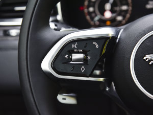 2023P250 HSE п؅^(q)