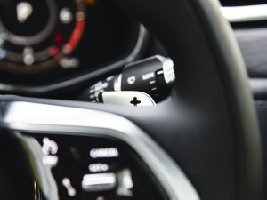 2023P250 HSE п؅^(q)