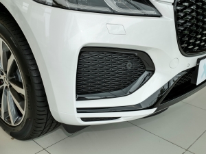 2024P250 R-Dynamic SE ^