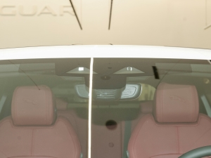 2024P250 R-Dynamic SE ^