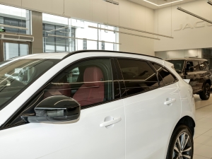 2024P250 R-Dynamic SE ^