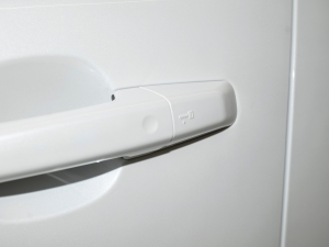 2024P250 R-Dynamic SE ^