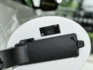 2024P250 R-Dynamic SE ^