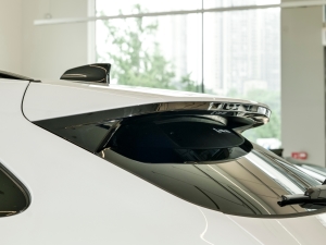 2024P250 R-Dynamic SE ^