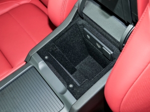 2024P250 R-Dynamic SE g