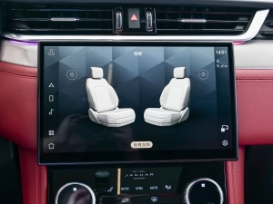 2024P250 R-Dynamic SE g