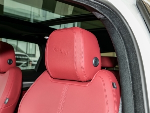 2024P250 R-Dynamic SE g