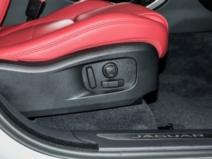 2024P250 R-Dynamic SE g