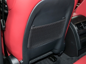 2024P250 R-Dynamic SE g