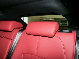 2024P250 R-Dynamic SE g