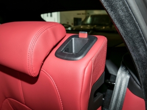 2024P250 R-Dynamic SE g