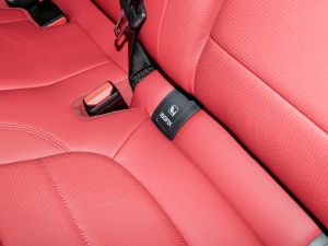 2024P250 R-Dynamic SE g