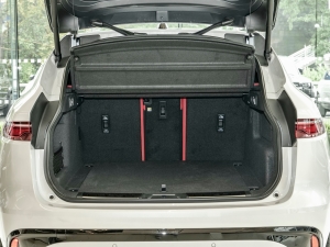 2024P250 R-Dynamic SE g