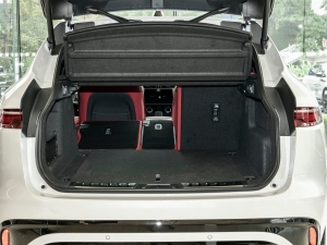 2024P250 R-Dynamic SE g