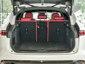 2024P250 R-Dynamic SE g