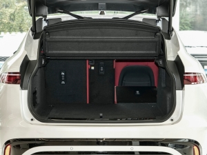 2024P250 R-Dynamic SE g