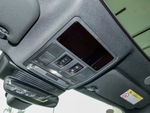 2024P250 R-Dynamic SE п؅^(q)