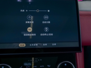 2024P250 R-Dynamic SE п؅^(q)