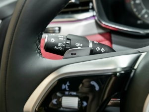 2024P250 R-Dynamic SE п؅^(q)