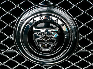 2009R 5.0L V8 Cе (x)(ji)^