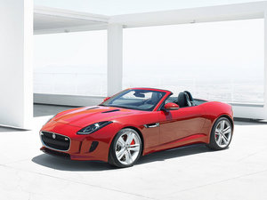 2013ݱF-TYPE w^