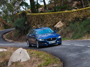 20152.0T 240PS R-SPORT w^