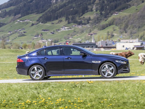 20152.0T 200PS R-SPORT w^