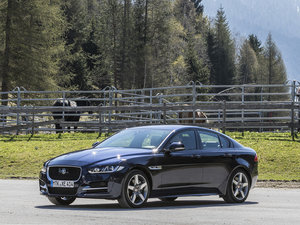 20152.0T 200PS R-SPORT w^