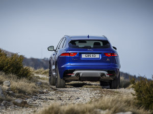 20163.0L װl(f) AWD w^