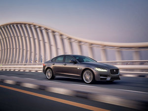 20163.0T (q)R-Sport\(yn)Ӱ w^