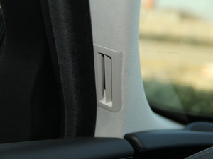 20163.0T (q)L(fng)A g