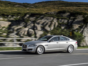 201630d Diesel Portfolio w^