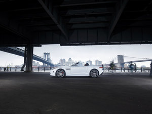 20165.0T V8 R (q) w^(gun)