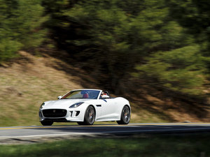 20165.0T V8 R (q) w^(gun)