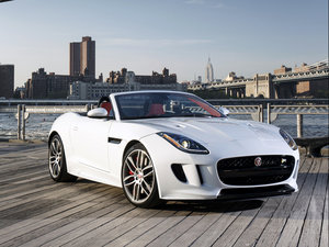 20165.0T V8 R (q) w^(gun)