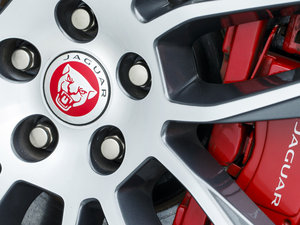 20165.0T V8 R (q) (x)(ji)^